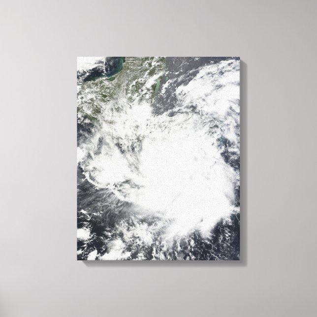Toile Tempête tropicale Alma (Recto)