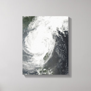 Toile Tempête tropicale Parm