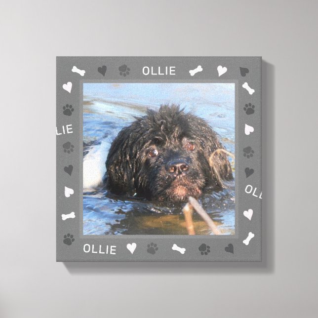 Toile Terre-Neuve - photo et nom (Recto)