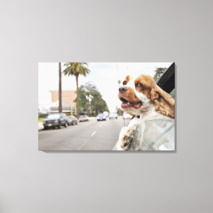 Toile Tête accrochante de chien hors de fenêtre de
