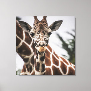Toile Tête de girafe Tirage de fourrure de girafe Animal