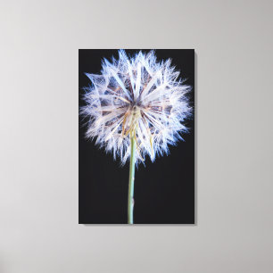 Toile Tête de graine de pissenlit (Taraxacum Officinale)