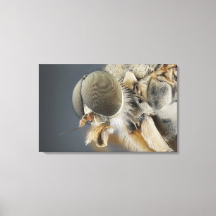 Toile Tête de la mouche de Snipe