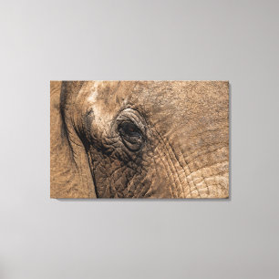 Toile Tête d'un éléphant