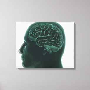 Toile Tête humaine en profil montrant le cerveau