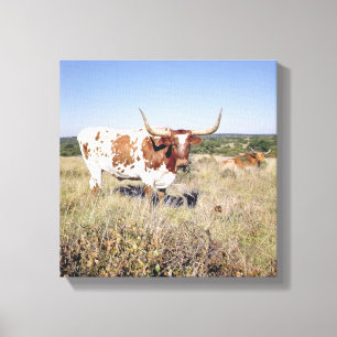 Toile Texas Longhorn Breed (photo)