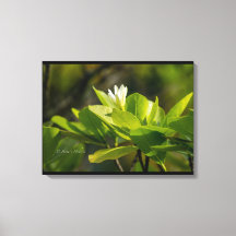 Toile "Tiare Tahiti" photographie Itata'e Hoho'a