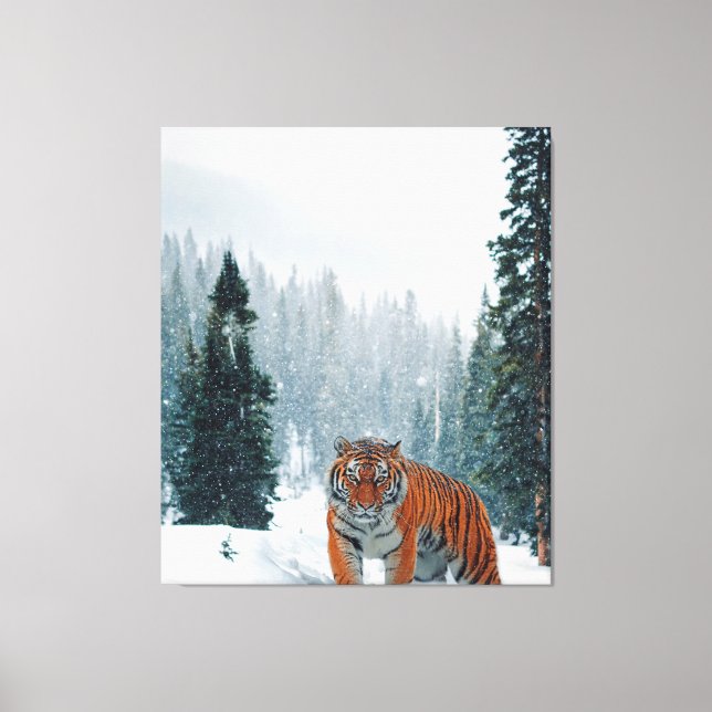 Toile tigre dans la neige (Recto)