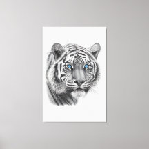 Tigre - Dessin au crayon avec les yeux bleus