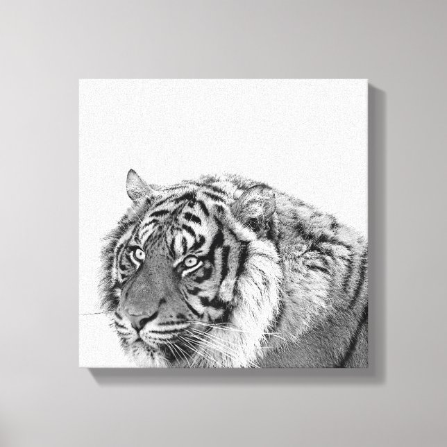 Toile Tigre photo d'animal africain noir et blanc (Recto)