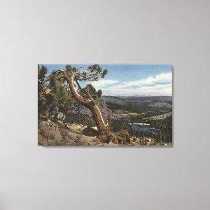 Toile Timberline sur Mammoth Crest