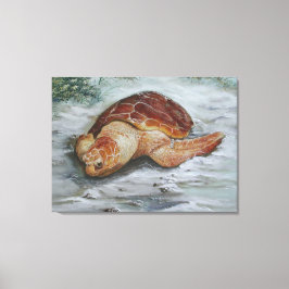 Toile Tortue à tête noire - Île St George