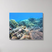 Tortue Art-Mer