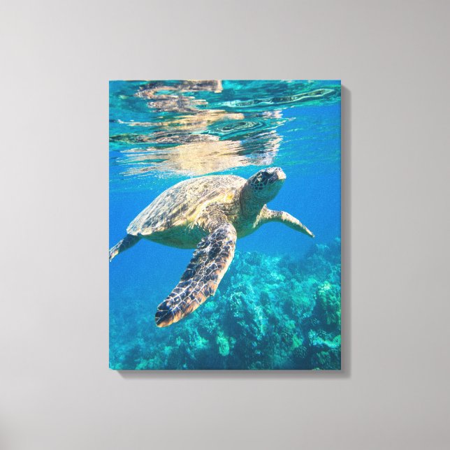 Toile Tortue de mer (Recto)