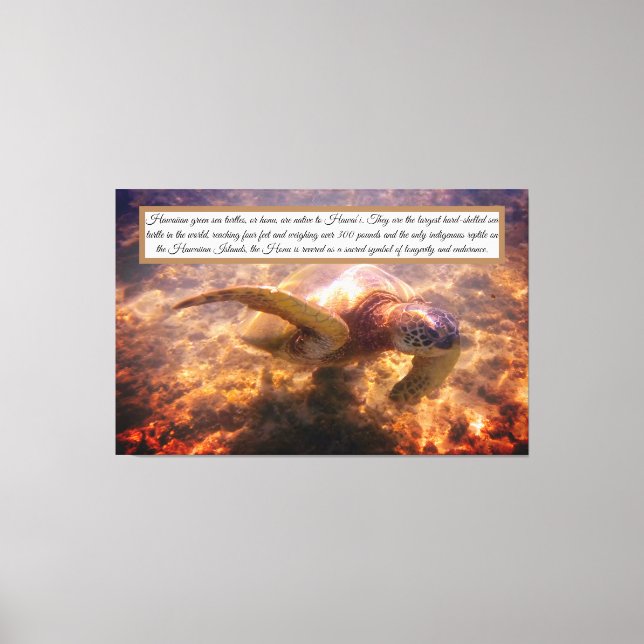 Toile Tortue hawaïenne (Recto)