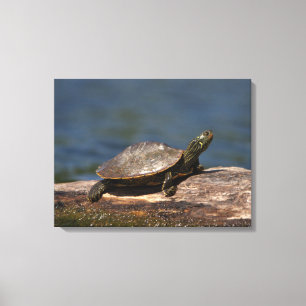Toile Tortue peinte sur un bûcher