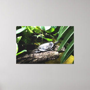 Toile Tortue sur une bûche