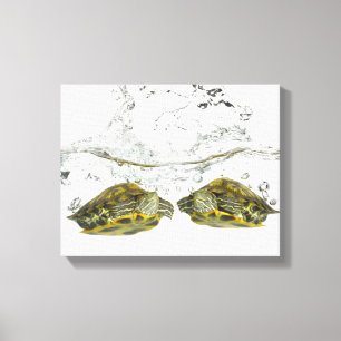 Toile Tortues rouges de glisseur