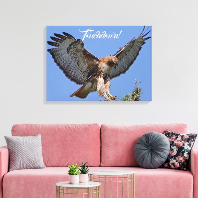 Toile Touchdown Red Tail HawK (Insitu(Salon))