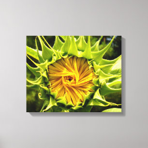 Toile Tourbillon de tournesol
