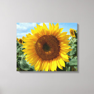 Toile Tournesol