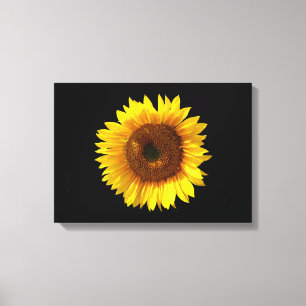 Toile Tournesol