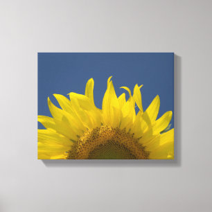 Toile Tournesol en hausse
