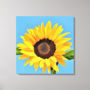 Toile Tournesol jaune contre soleil sur ciel bleu - été