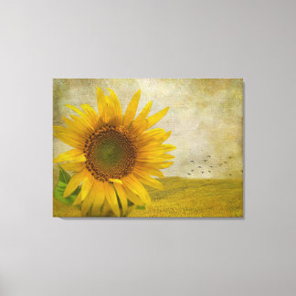 Toile Tournesol unique sur le pâturage de tournesol