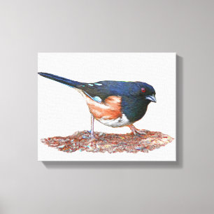 Toile Towhee