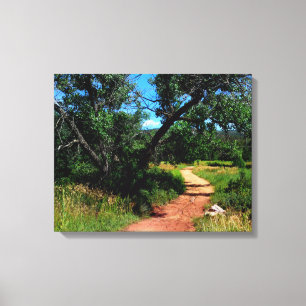 Toile Trail de l'arbre