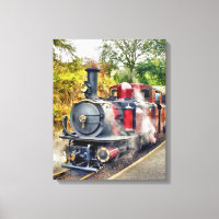 TRAIN À VAPEUR