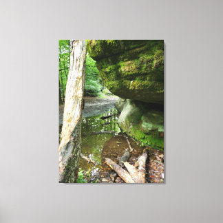 Toile Tranquil Forest Canvas Print | Real Landscape
