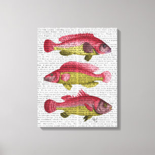 Toile Trio rouge et jaune de poissons d'imaginaire