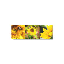 Trio tournesol