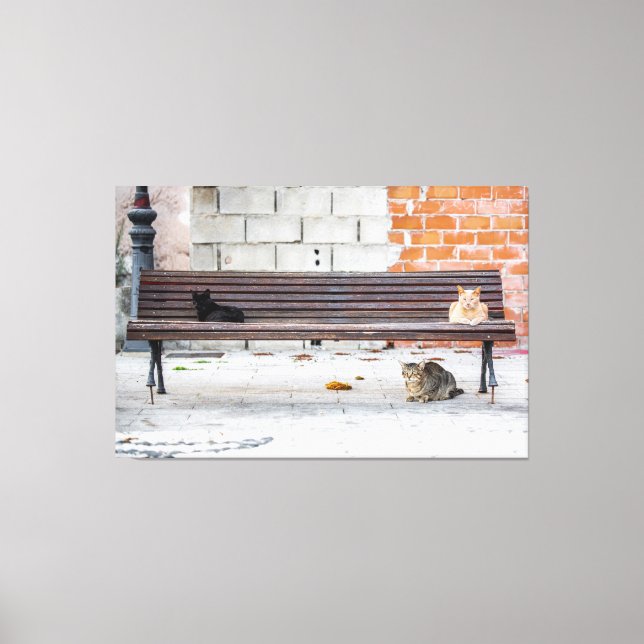 Toile Trois chats sur un banc (Recto)