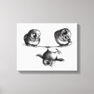 Toile Trois Chouettes - Liberté et Amusement