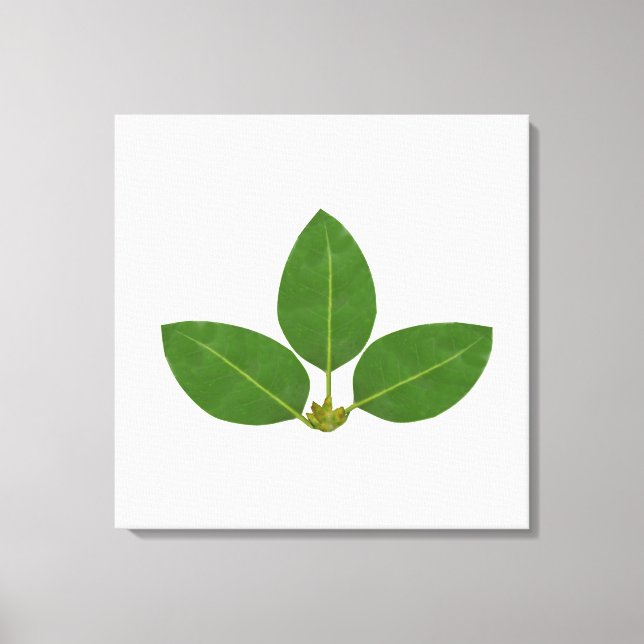 Toile Trois Feuilles de Green Bay modernes (Recto)