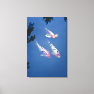 Toile Trois poissons japonais de koi dans l'étang