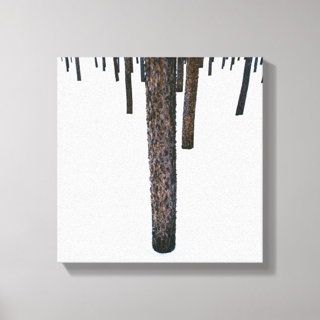 Toile Troncs d'arbre dans la neige (Recto)