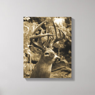 Toile Trophée Deer