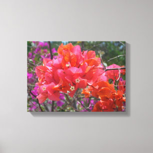 Toile Tropical Pink Bougainvillea Island Floral