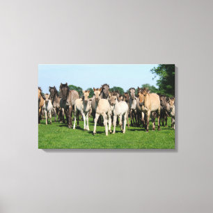 Toile Troupeau sauvage de poneys de Duelmen avec des