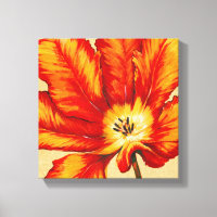 Tulipe de perroquet II