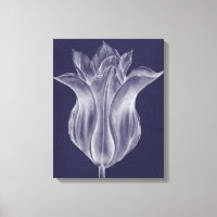 Tulipe monochrome III