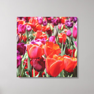 Toile Tulipes chaudes tombées