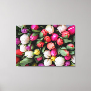 TOILE TULIPES COLORÉES
