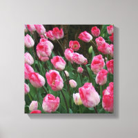 Tulipes roses d'art mural