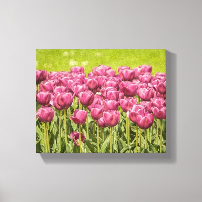 Toile Tulips Field Flower Photo (Recto)
