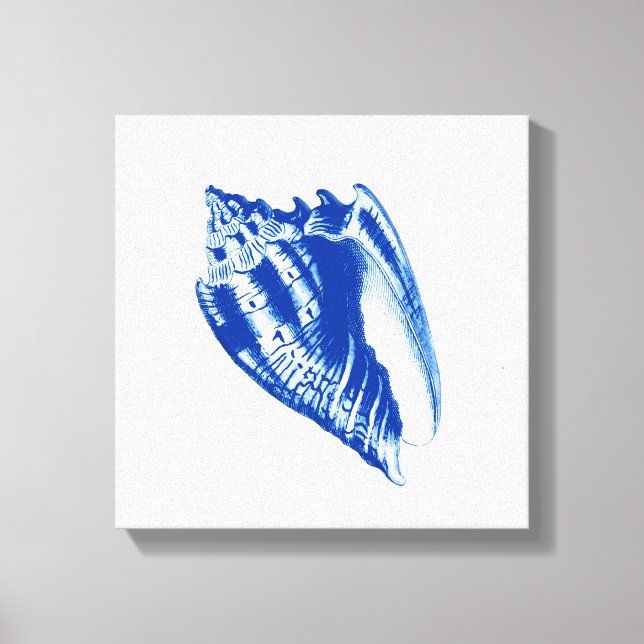 Toile Turban Conch Shell, Indigo bleu et blanc (Recto)